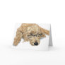 Goldendoodle Stella Greeting Cards