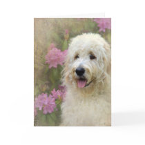 Goldendoodle with Texture