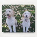 GoldenDoodles in the Fall Leaves Mouse Mats