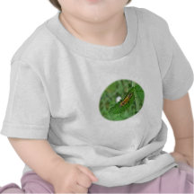 Goldenrod Soldier Beetle T-shirts