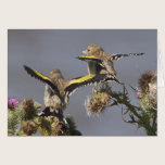 Goldfinch cards