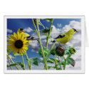 GoldFinch cards