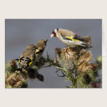 Goldfinch cards