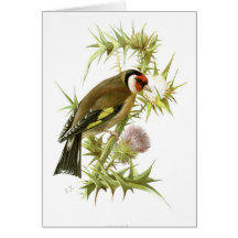 Goldfinch Greeting Cards