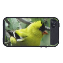 Goldfinch iPhone 4 Case