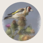 Goldfinch stickers