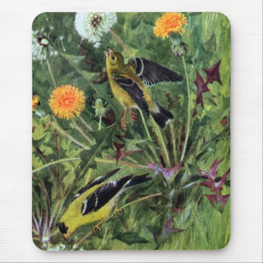 Goldfinches and Dandelions Mouse Pad