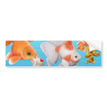 Goldfish Bumper Sticker bumper stickers