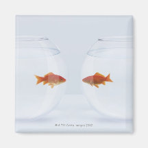 Goldfish in separate fishbowls looking face to magnets