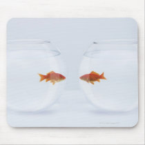 Goldfish in separate fishbowls looking face to mousepads