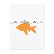 Goldfish Shark postcard