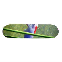 Goldfish Skate Decks