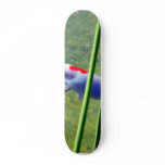 Goldfish skateboards