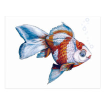 Goldfish with Bubbles postcards