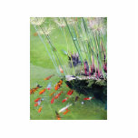 Goldfishes photo sculptures
