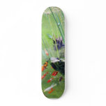 Goldfishes skateboards