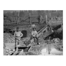 Goldminers Gold Rush Miners ~ California 1850 Post Card
