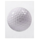 Golf ball flyers