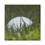 golf ball hiding