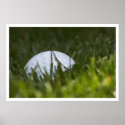 golf ball hiding posters