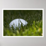 golf ball hiding posters
