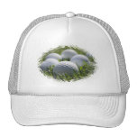 Golf Balls Baseball Hat