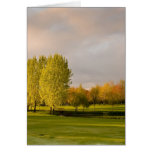 Golf Course in Autumn Greeting Card