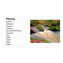 GOLITHA FALLS BUSINESS CARD TEMPLATE