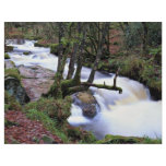 Golitha Falls, Cornwall, England at the Cornish Ri flyers