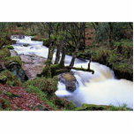 Golitha Falls, Cornwall, England at the Cornish Ri photo sculptures