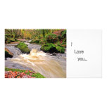 GOLITHA FALLS CUSTOMIZED PHOTO CARD