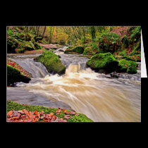 GOLITHA FALLS cards