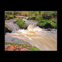 GOLITHA FALLS postcards