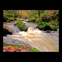 GOLITHA FALLS posters