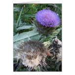 Gone to Seed cards