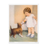 Good Boy!  Border Collie Postcard