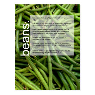 Good Growing Guide: Beans and Kale Postcard