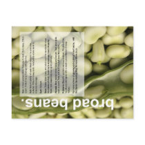 Good Growing Guide: Broad Beans and Salads postcards