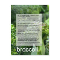Good Growing Guide: Broccoli and radishes postcards