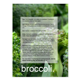 Good Growing Guide: Broccoli and radishes Postcard
