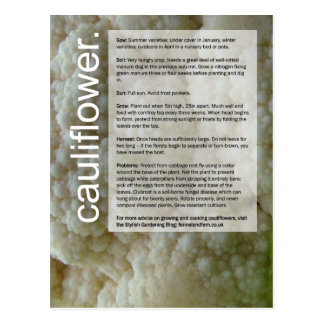 Good Growing Guide: Cauliflowers and Onions Postcard