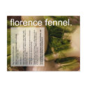 Good Growing Guide: Florence fennel & sprouts postcards