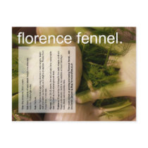 Good Growing Guide: Florence fennel & sprouts postcards
