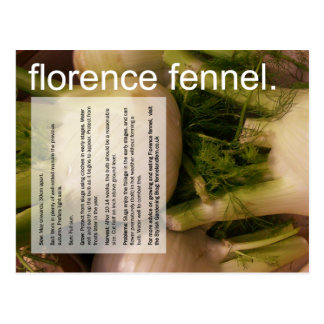 Good Growing Guide: Florence fennel & sprouts Postcard