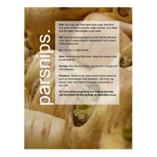 Good Growing Guide: Globe Artichokes & Parsnips Postcard