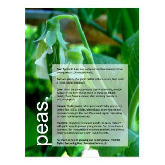 Good Growing Guide: Peas & Sweetcorn Postcard