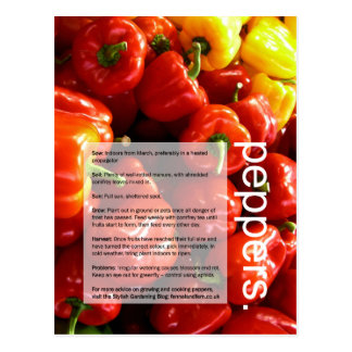 Good Growing Guide: Peppers & Beetroot Postcard