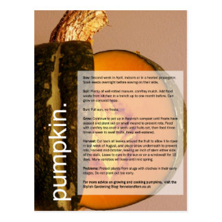 Good Growing Guide: Pumpkin & Chard Postcard