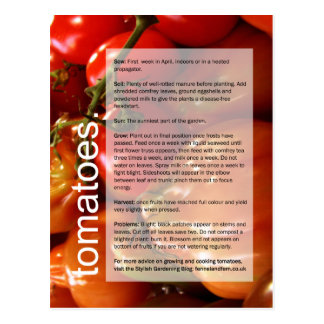 Good Growing Guide: Tomatoes & Garlic Postcard