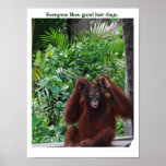 Good Hair Day posters